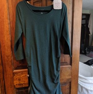 NWT isabel maternity dress